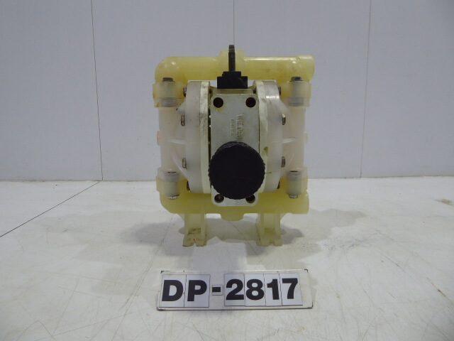 DP2817