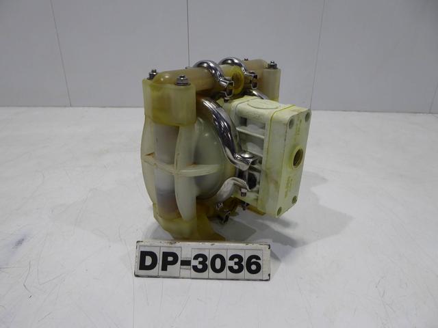 DP3036-scaled