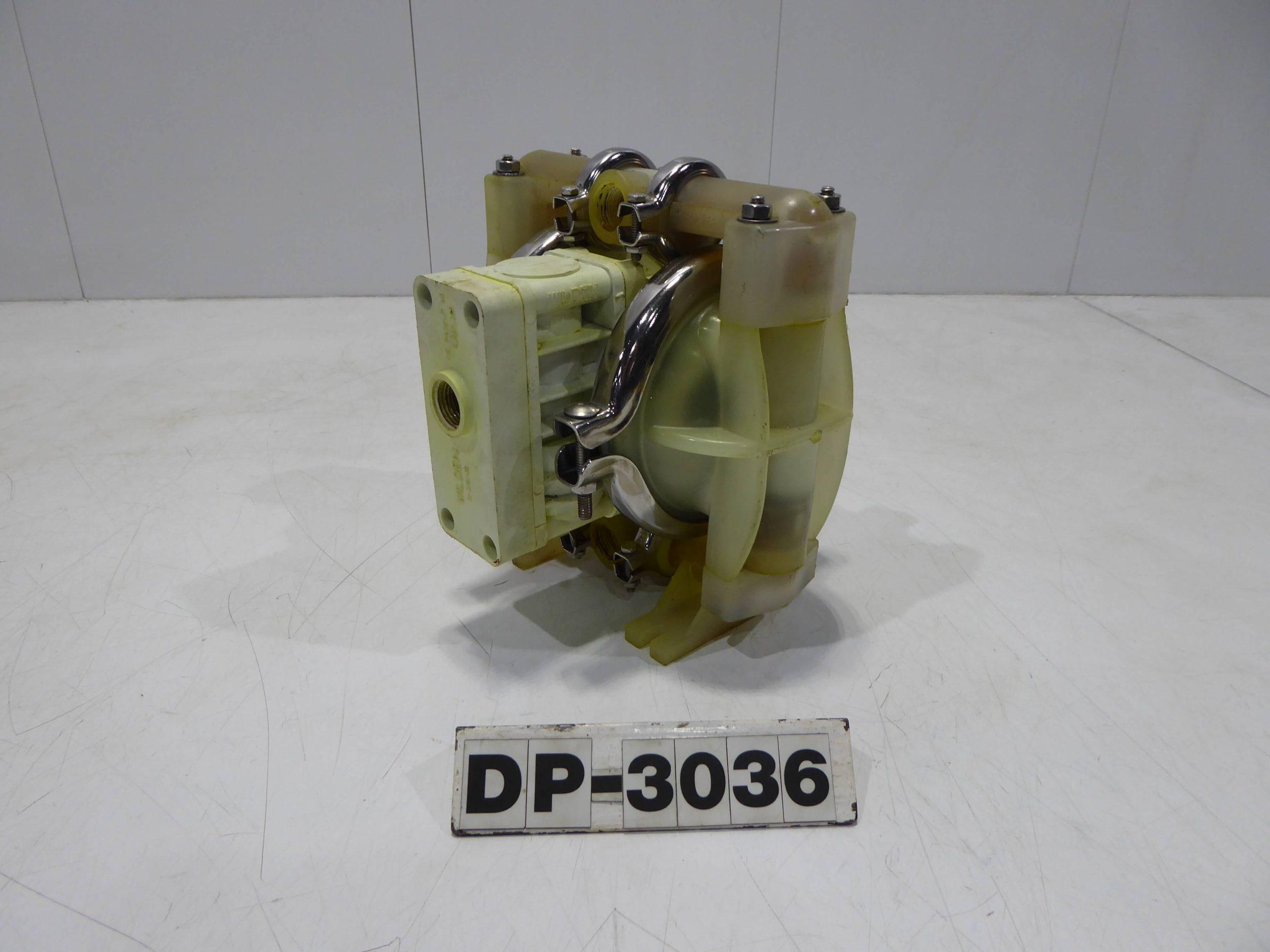 DP3036e-scaled