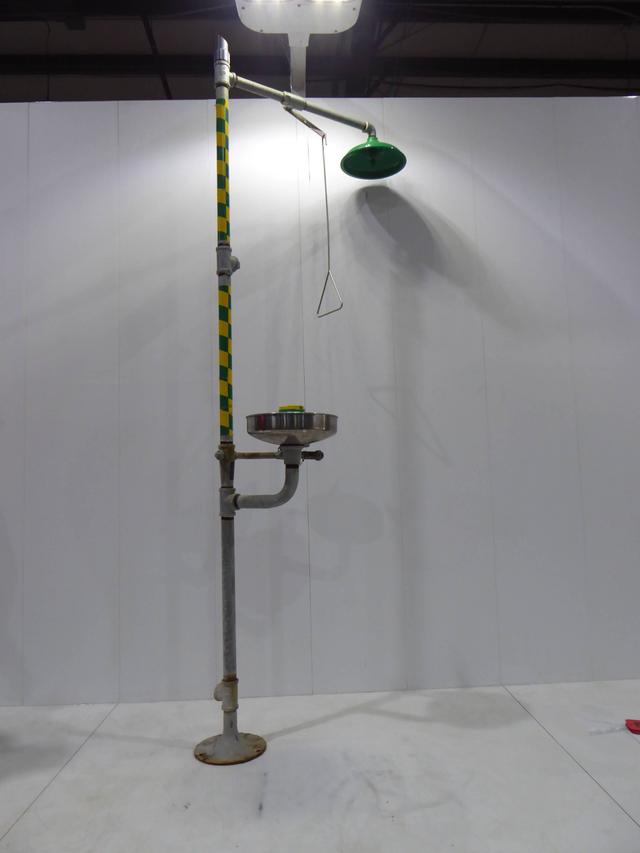 Haws Steel and Plastic Shower/Eye Wash Station SE2072