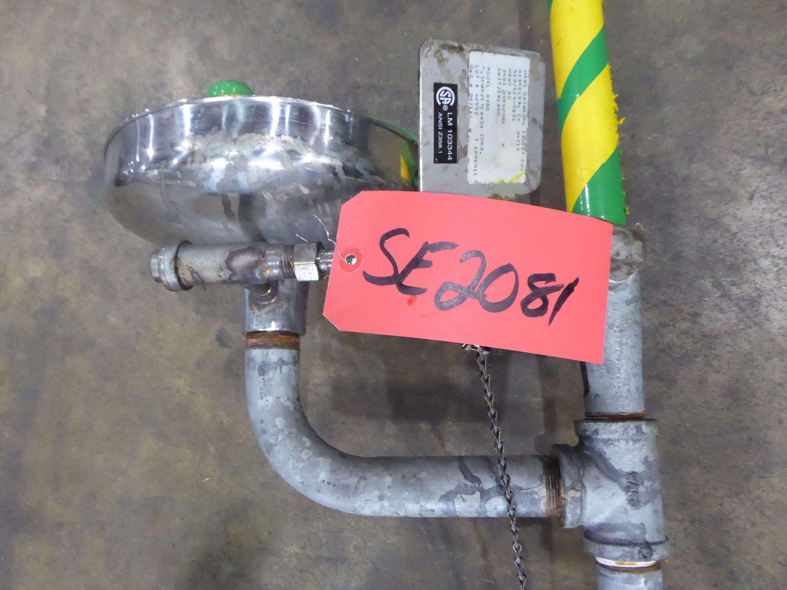 Haws Steel and Plastic Emergency Shower/Eye Wash Station SE2081