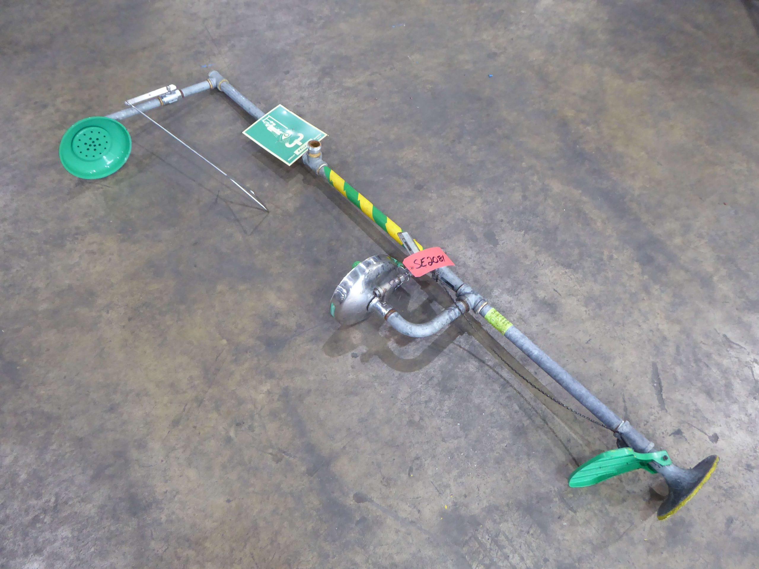 Haws Steel and Plastic Emergency Shower/Eye Wash Station SE2081