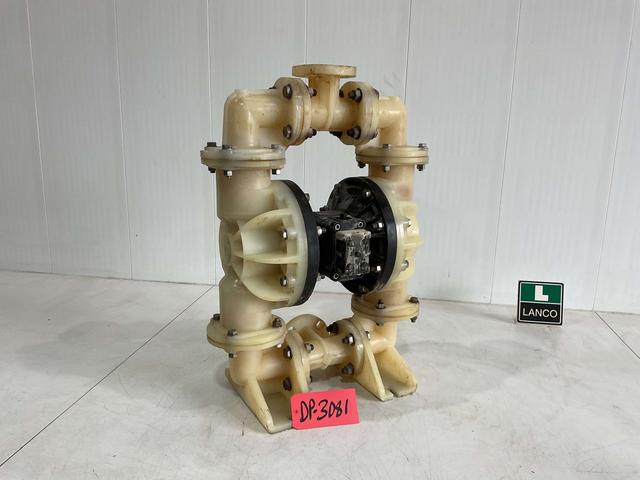 DP3081